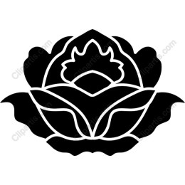 Black Lotus