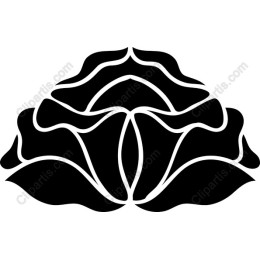 Black Lotus Flower