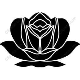 Lotus Blossom