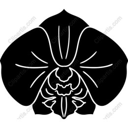 Black Orchid