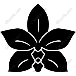 Black Orchid