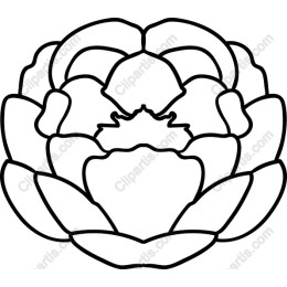 Elegant Peony Flower and