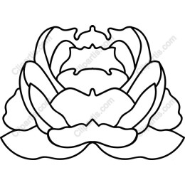 Elegant Flower - Line Drawing