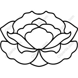 Lotus Flower
