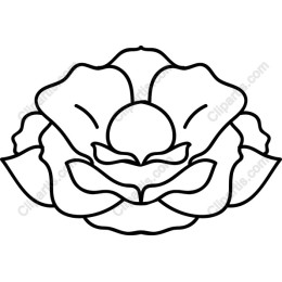 Elegant Flower