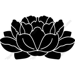 Elegant Black Lotus