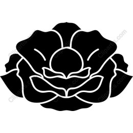 Stylized Floral Rose