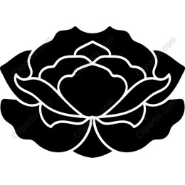 Elegant Black and White Lotus Flower