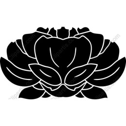 Lotus Flower