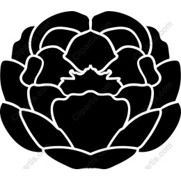 Black Rose