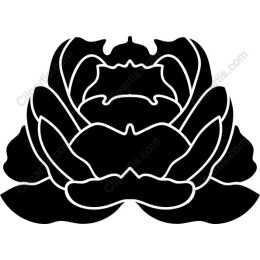 Elegant Black Lotus Flower