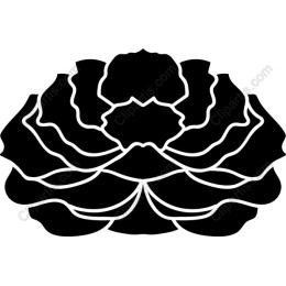 Elegant Floral Lotus