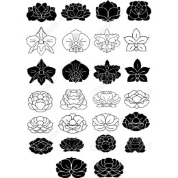 Floral Elegance Bundle