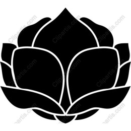 Lotus Blossom
