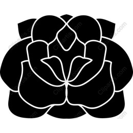Elegant Black and White Flower