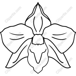 Orchid Line Art