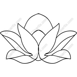 Lotus Flower