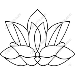 Lotus Flower
