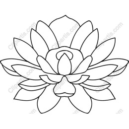 Elegant Lotus Flower