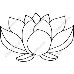 Lotus Blossom