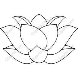 Lotus Flower Outline