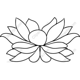 Elegant Lotus Flower