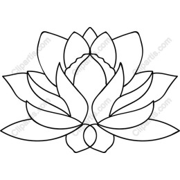 Elegant Lotus Flower