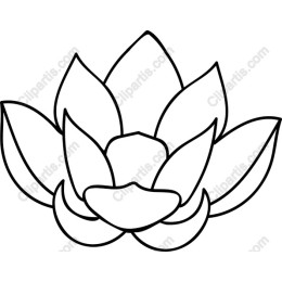 Elegant Lotus Flower