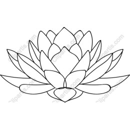 Lotus Flower