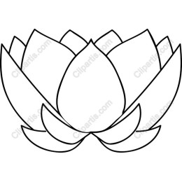 Lotus Blossom