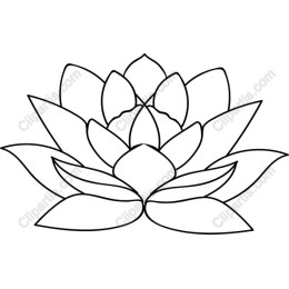 Elegant Lotus Flower