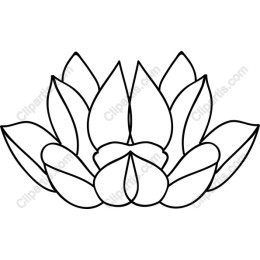 Lotus Flower