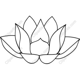 Lotus Flower