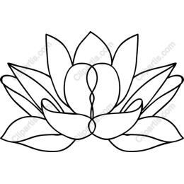 Lotus Flower