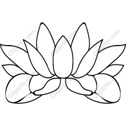 Elegant Lotus Flower