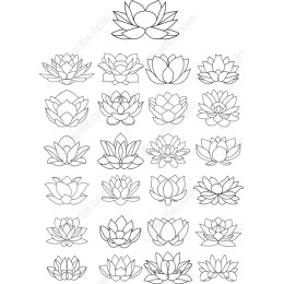 Lotus Flower Set