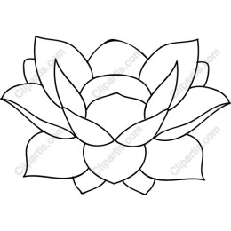Lotus Flower