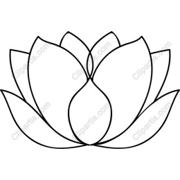 Black and White Lotus Flower