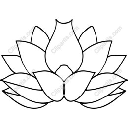 Lotus Flower