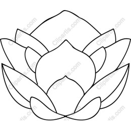 Lotus Flower Outline