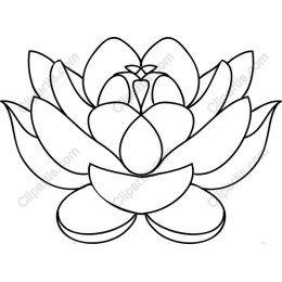 Lotus Flower