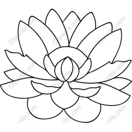 Lotus Flower