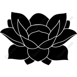Elegant Black Lotus Flower