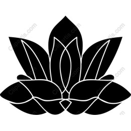 Lotus Blossom