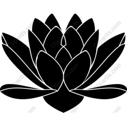 Elegant Lotus Flower