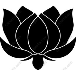 Elegant Black Lotus