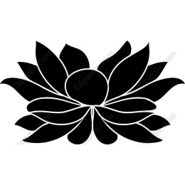 Black Lotus