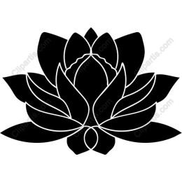 Lotus Blossom