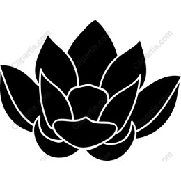Elegant Lotus Flower