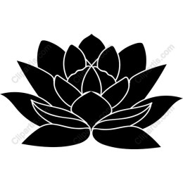 Elegant Black Lotus Flower